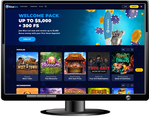 Web portal with articles on casinos: entry required